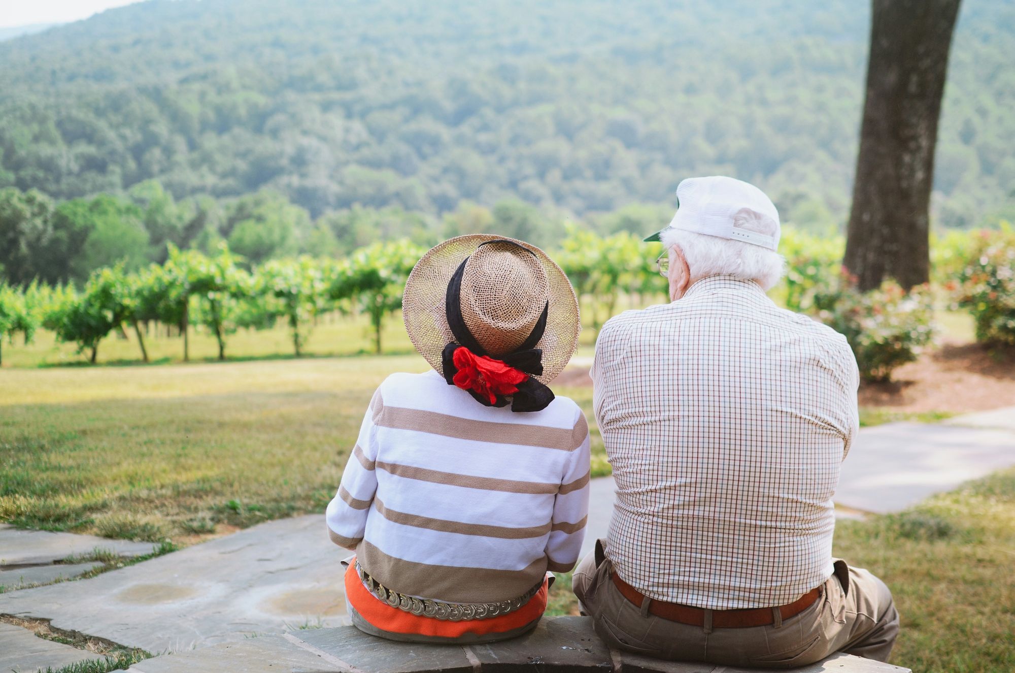 Ein älteres Paar sitzt auf einer Bank mit Blick über die Weinberge – gemeinsam entspannt in den Ruhestand